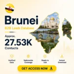 🇧🇳 Brunei Business Contacts Database