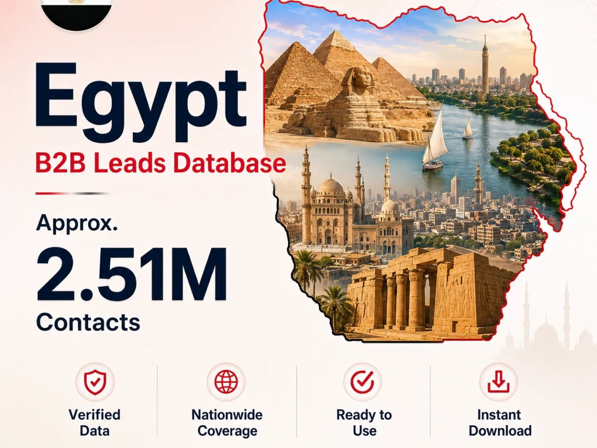 Egypt B2B Leads Database
