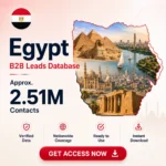 🇪🇬 Egypt Business Contacts Database