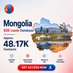 🇲🇳 Mongolia Business Contacts Database