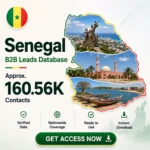 🇸🇳 Senegal Business Contacts Database