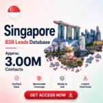 🇸🇬 Singapore Business Contacts Database