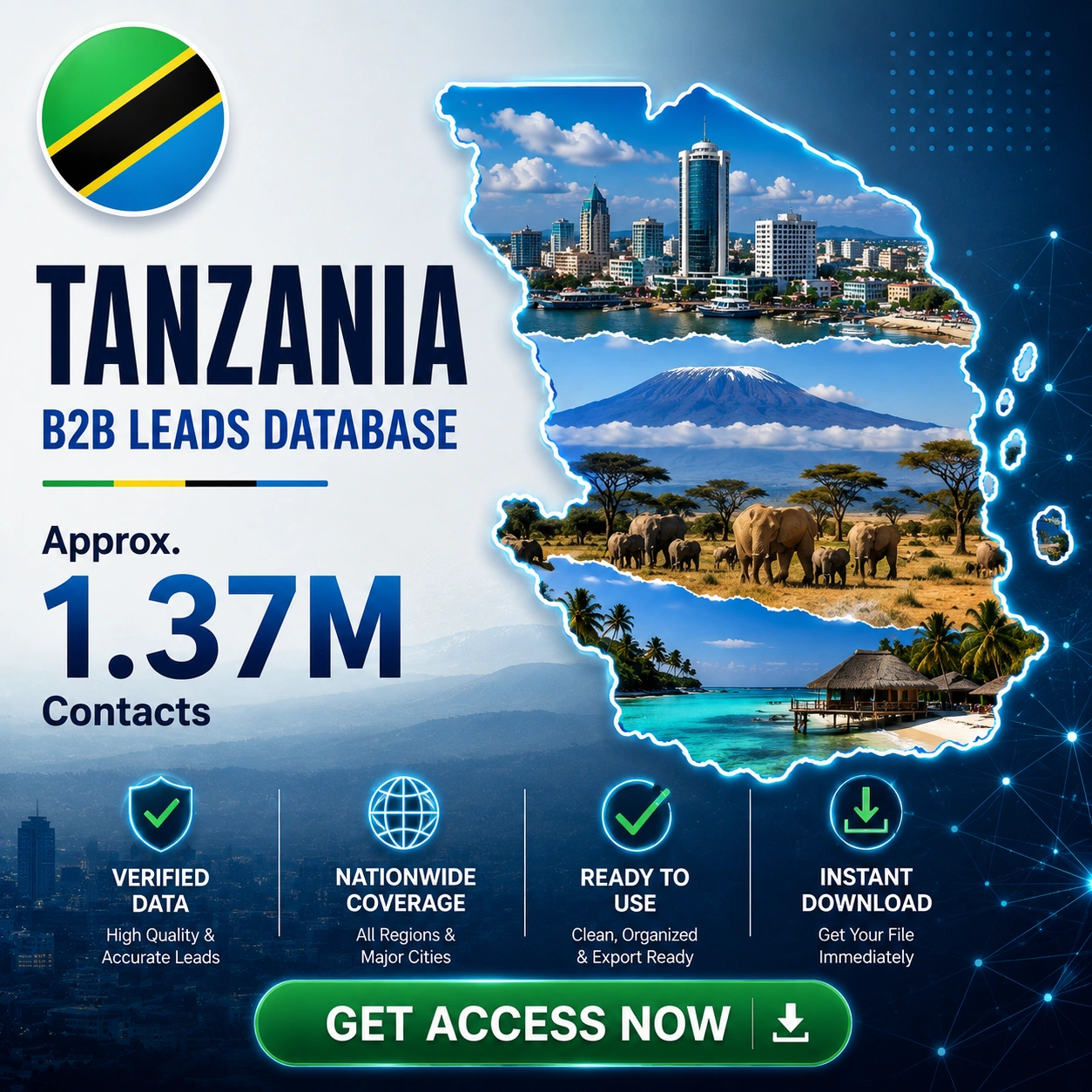 Tanzania B2B Leads Database