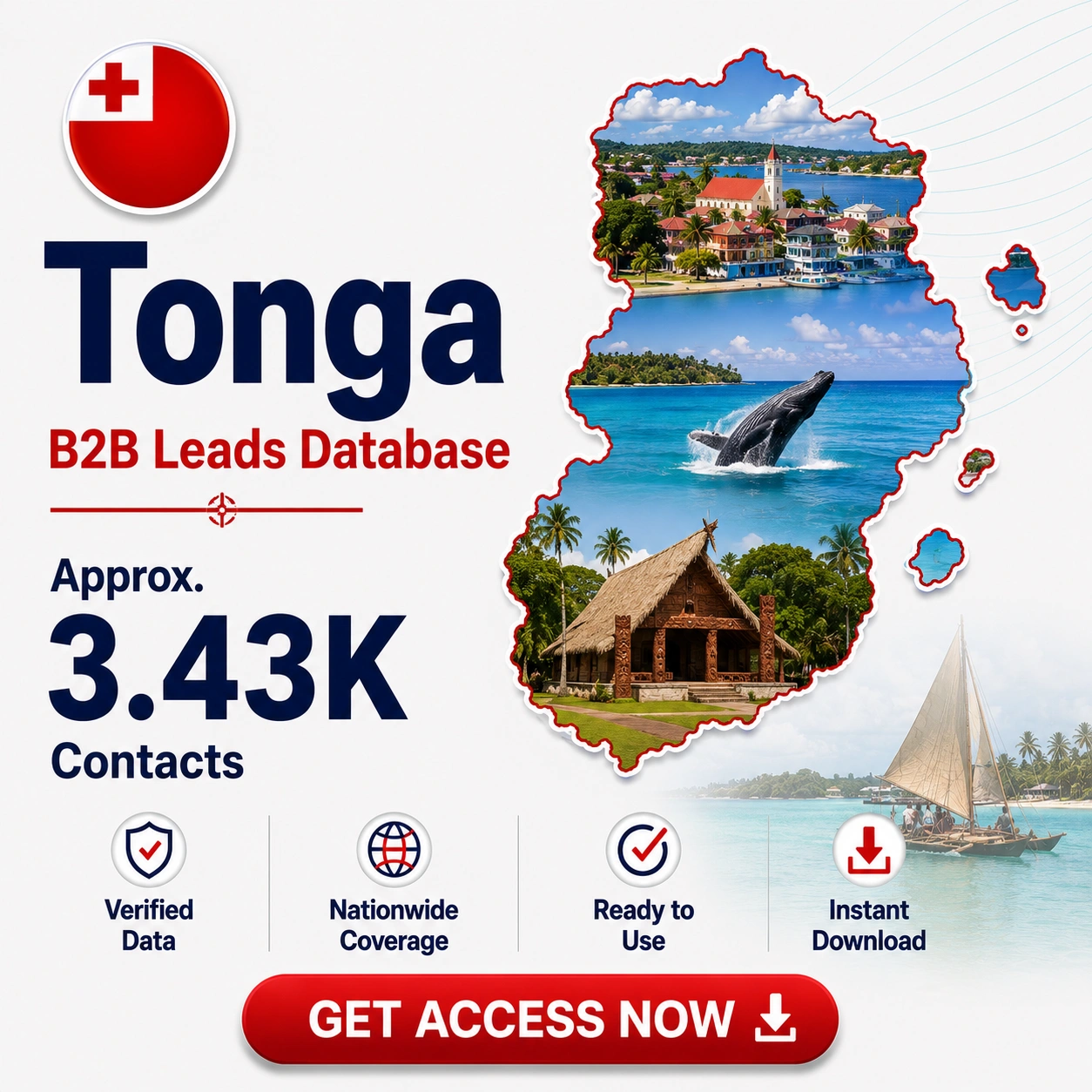 Tonga B2B Leads Database