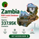 🇿🇲 Zambia Business Contacts Database